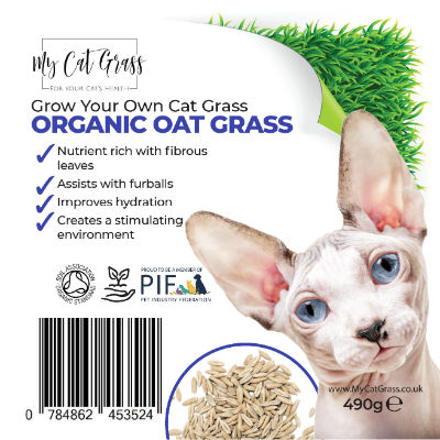 Grow Your Own Cat Grass Kit Oat