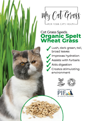 Cat Grass Seed Pouch Spelt Wheat