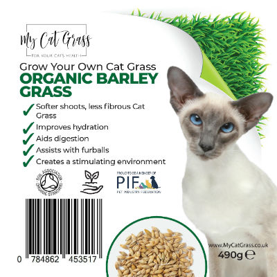 Grow Your Own Cat Grass Kit Barley