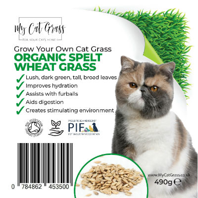 Grow Your Own Cat Grass Kit Wheat